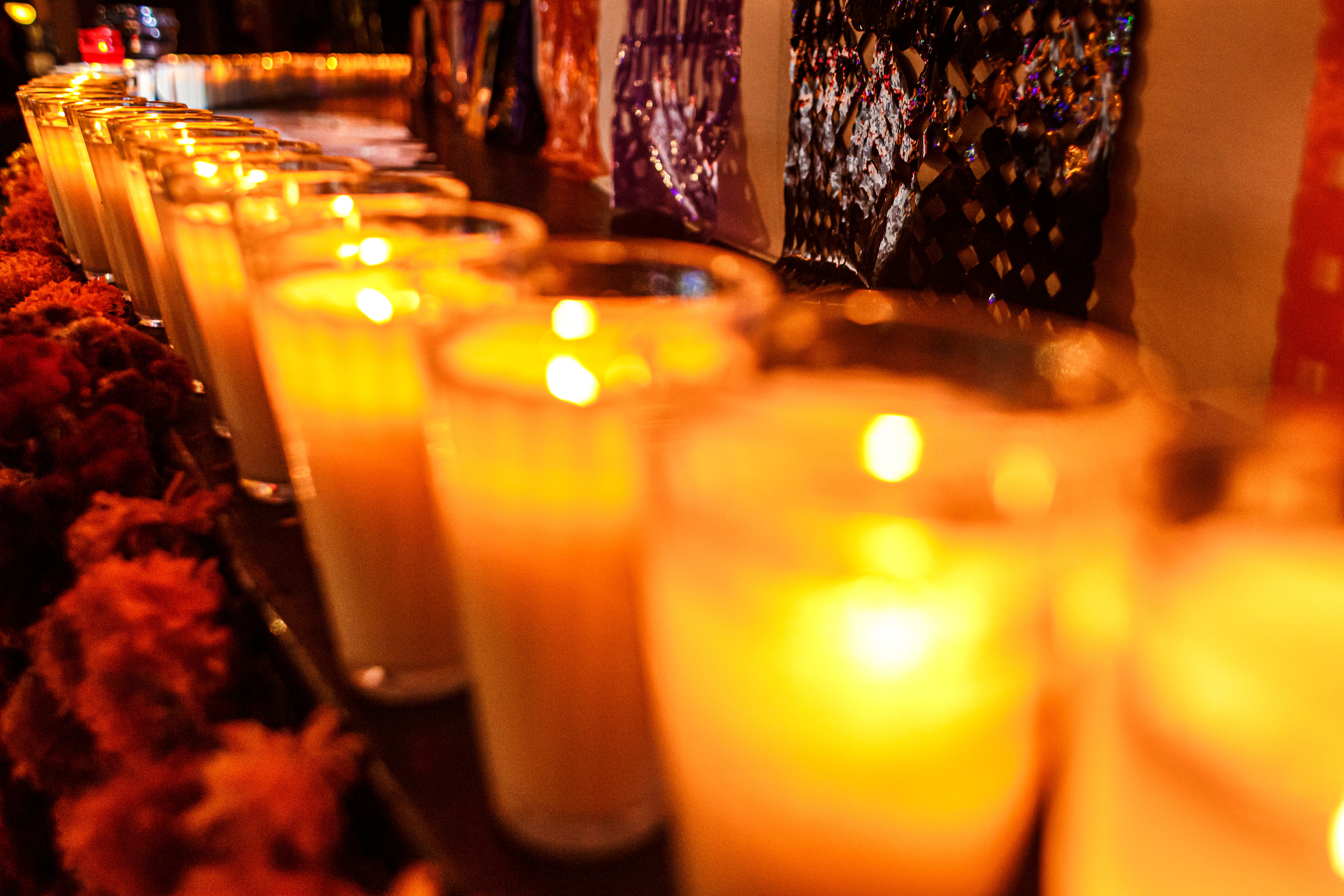 Day of the Dead Gallery 