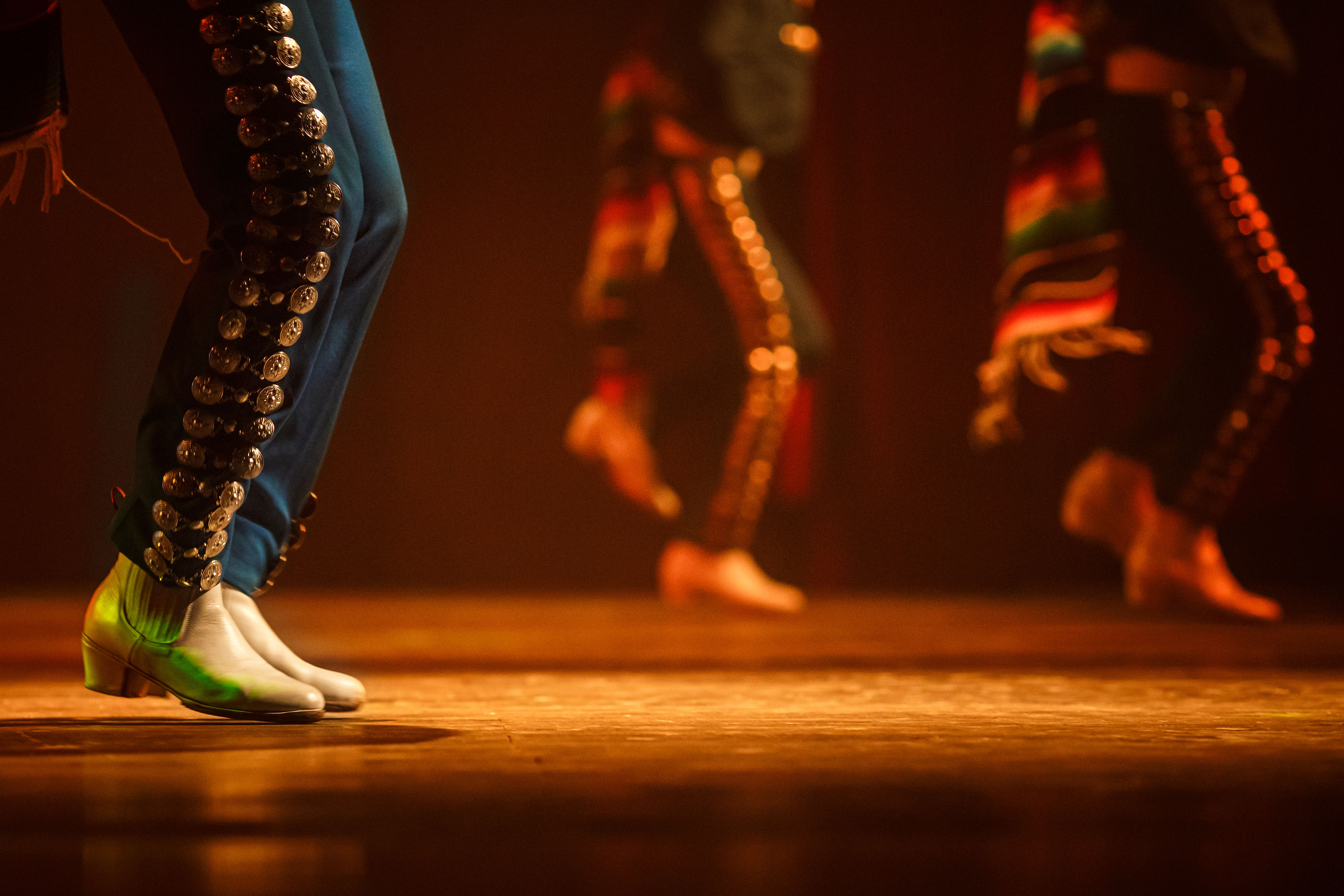 Day of the Dead Gallery 