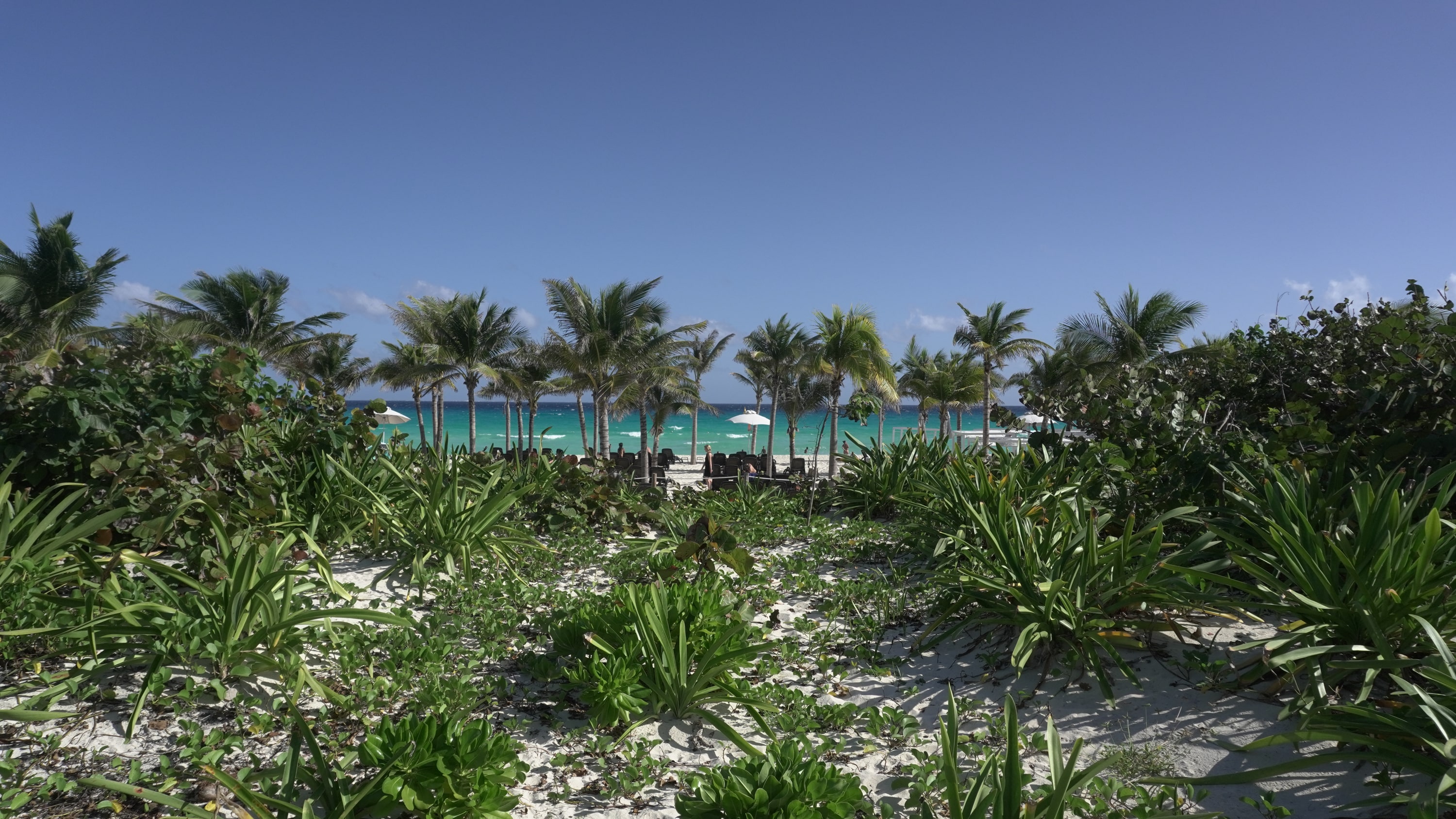 Playacar beach 5