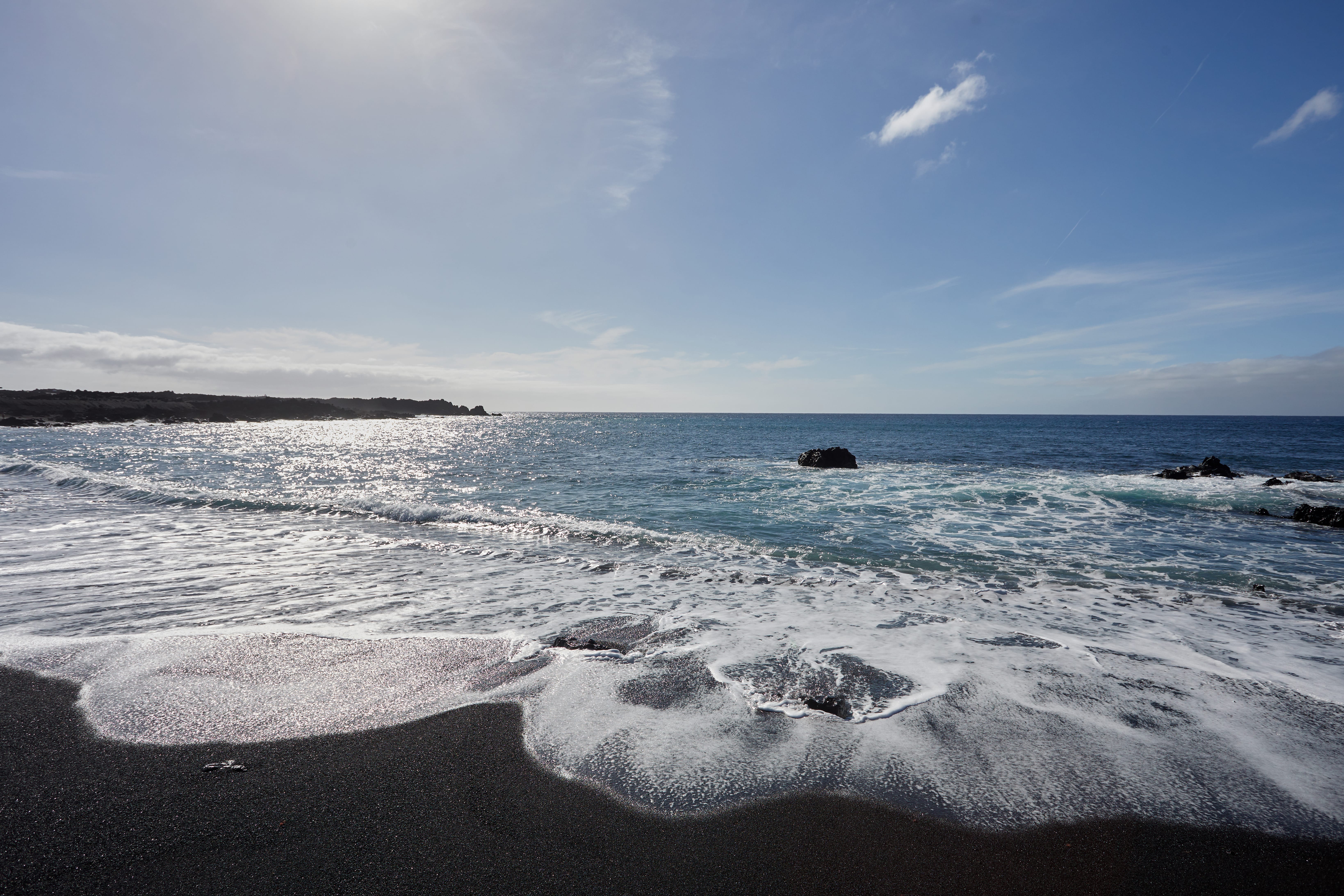 ATLANTIC_GARDENS_0191