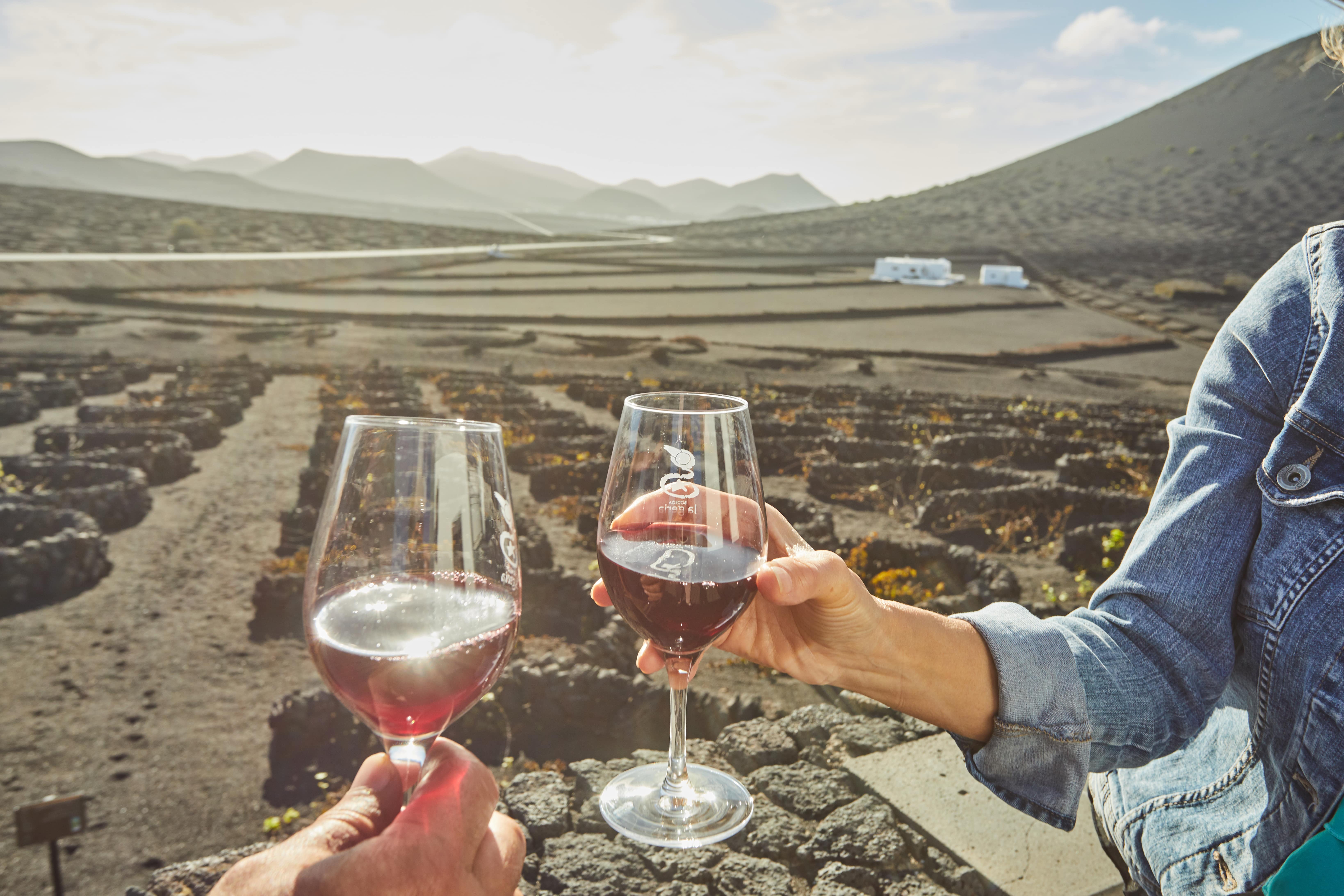 ATLANTIC_GARDENS_0212