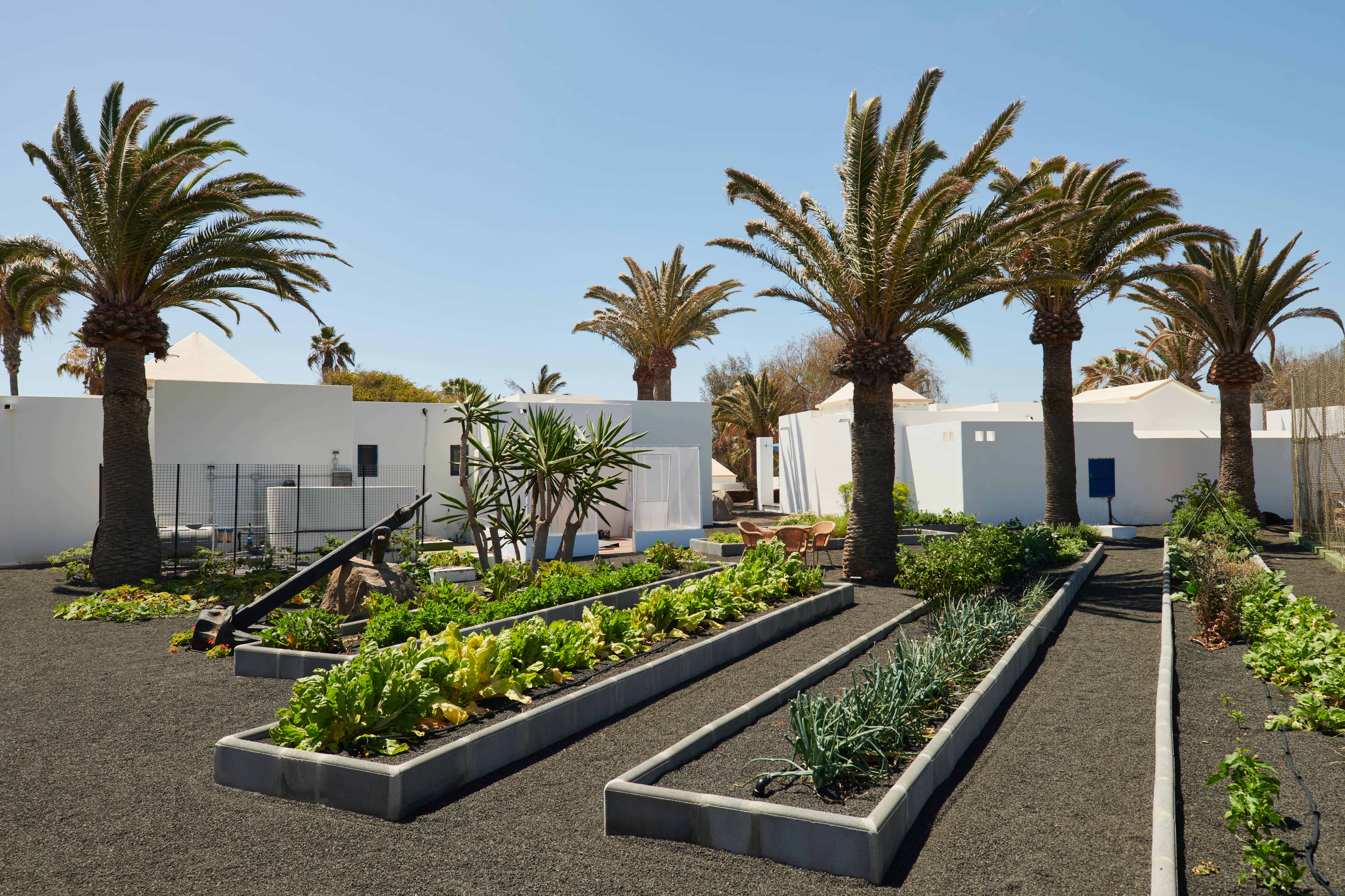 Atlantic Gardens 051