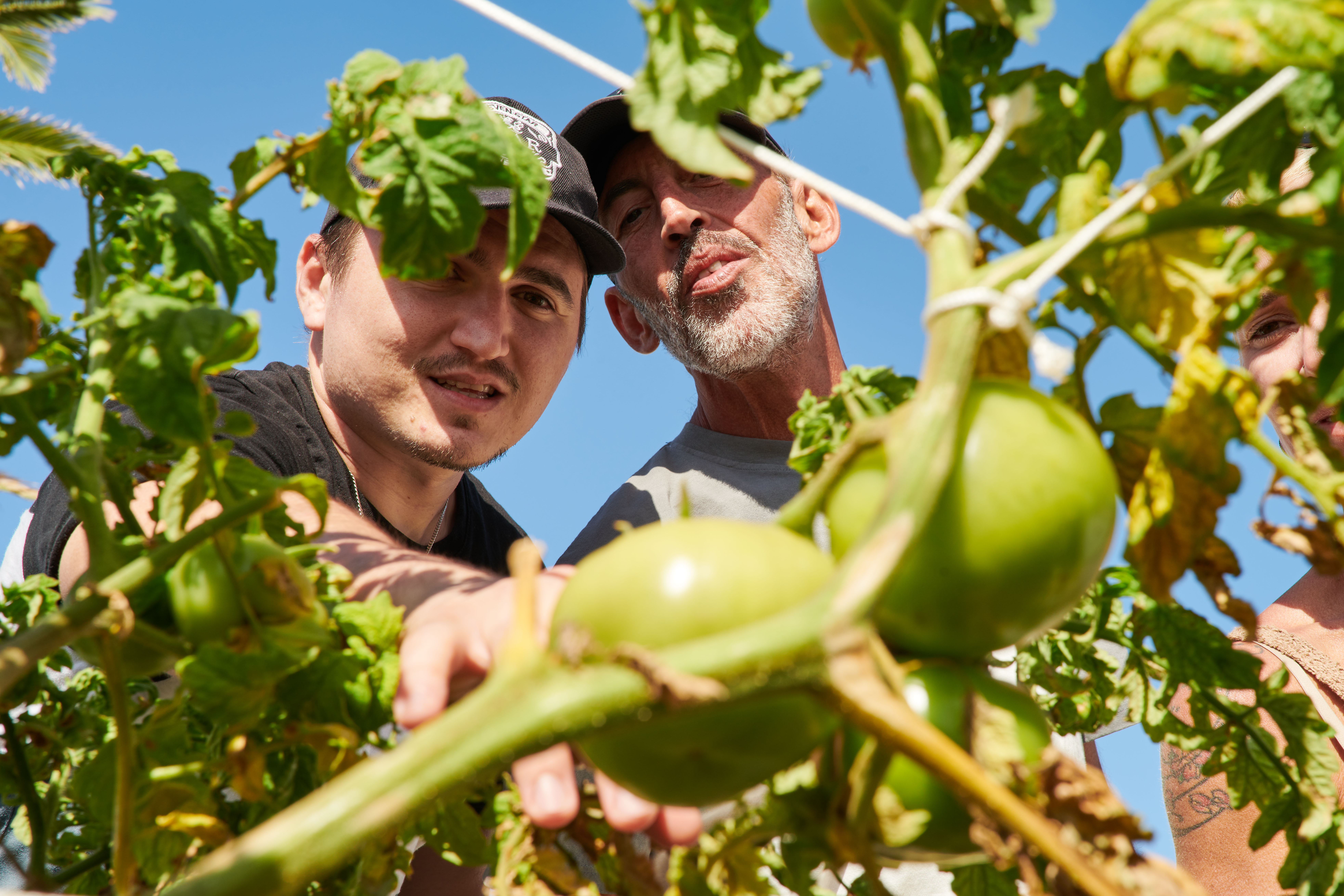 Sandos Atlantic Gardens
