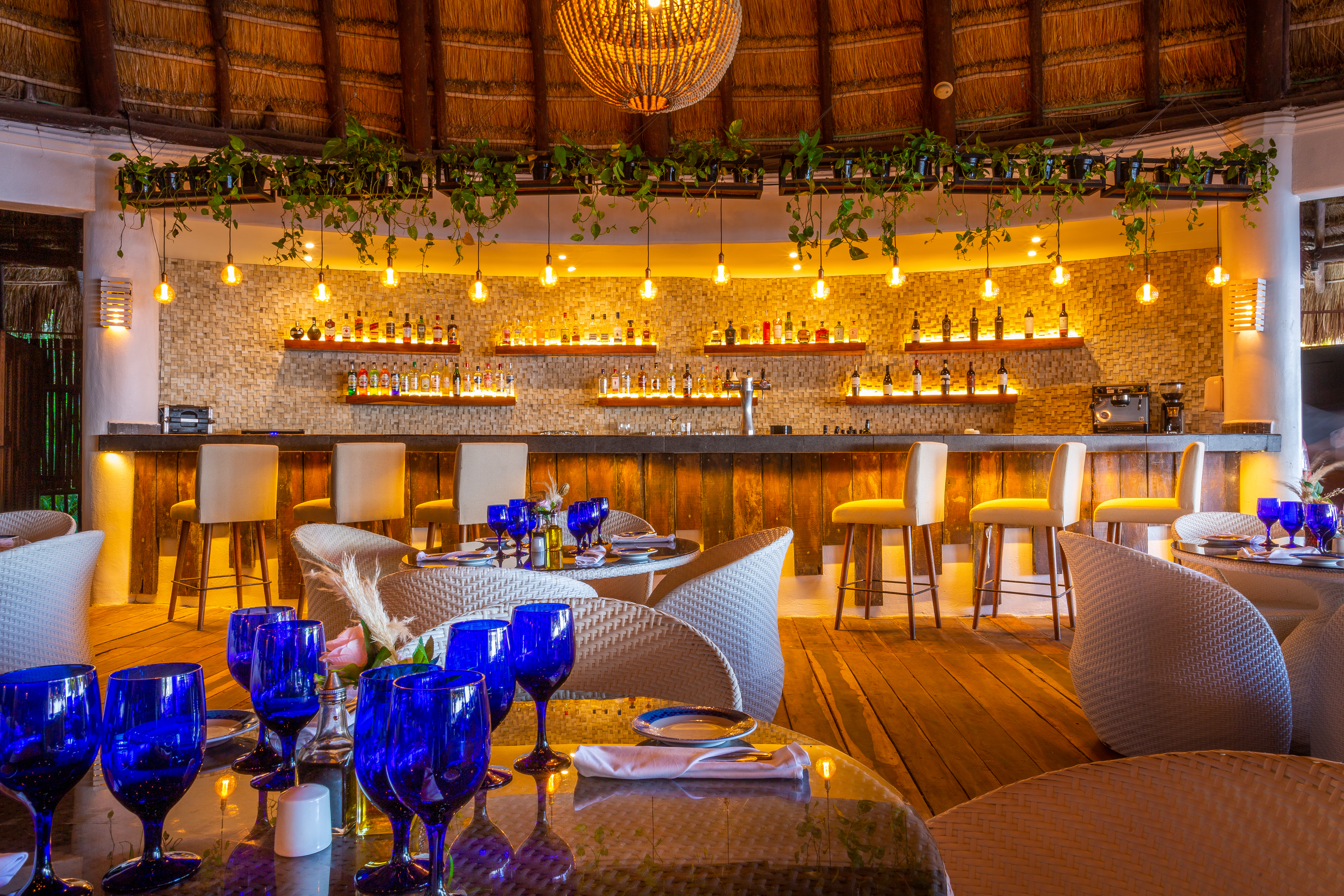 Sandos Caracol_Riviera