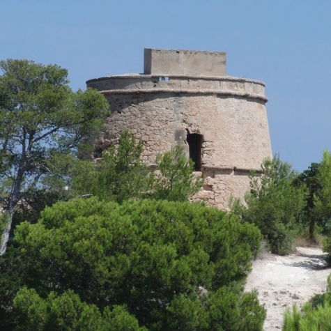 portinatx