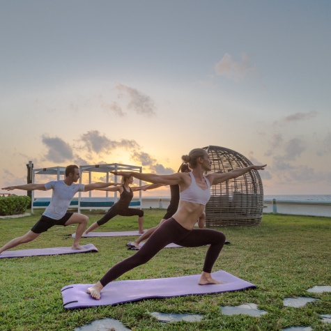 Yoga Classes