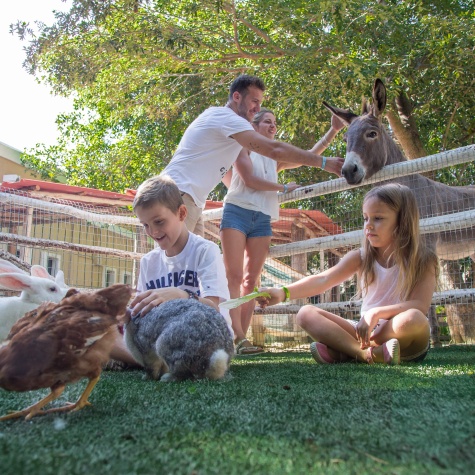 Animal Keeper