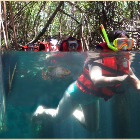 Jade River Adventure