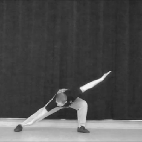 The dancing crane or the snake
