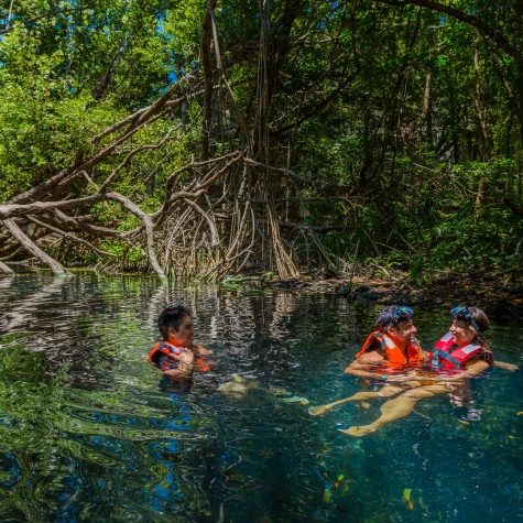 Jade river_sandoscaracol