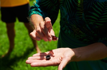 NATURAL AROMATHERAPY NATURAL AROMATHERAPY