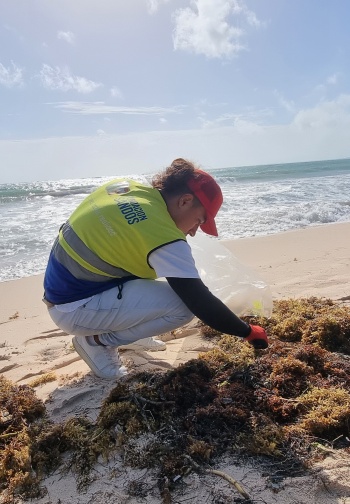 beach cleaning sandos foundation