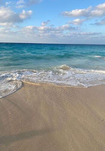 pexels-reem-mohamed-EDIT.jpg