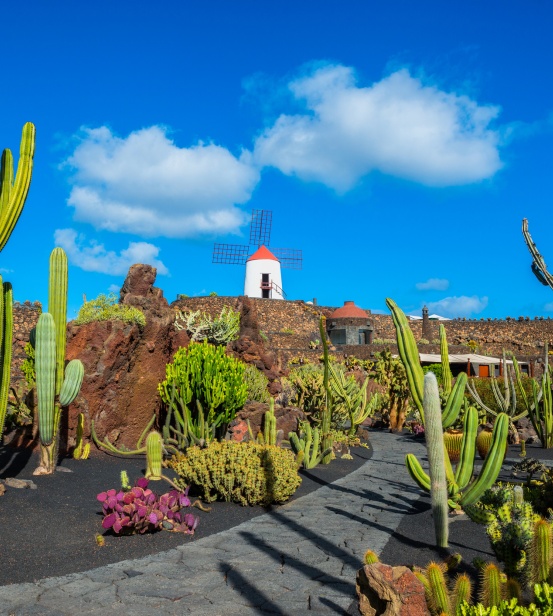 JARDÍN DEL CACTUS