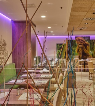 FUSION RESTAURANT HOME PAPAGAYO