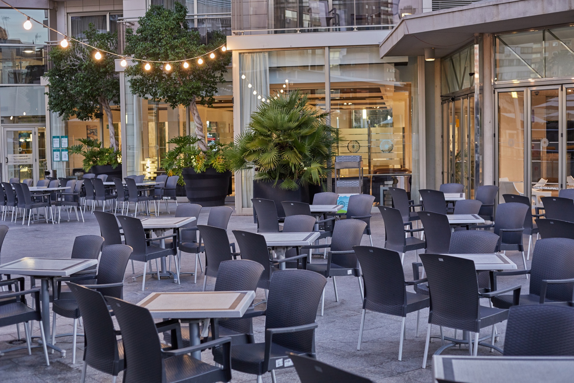 MONTECARLO BAR