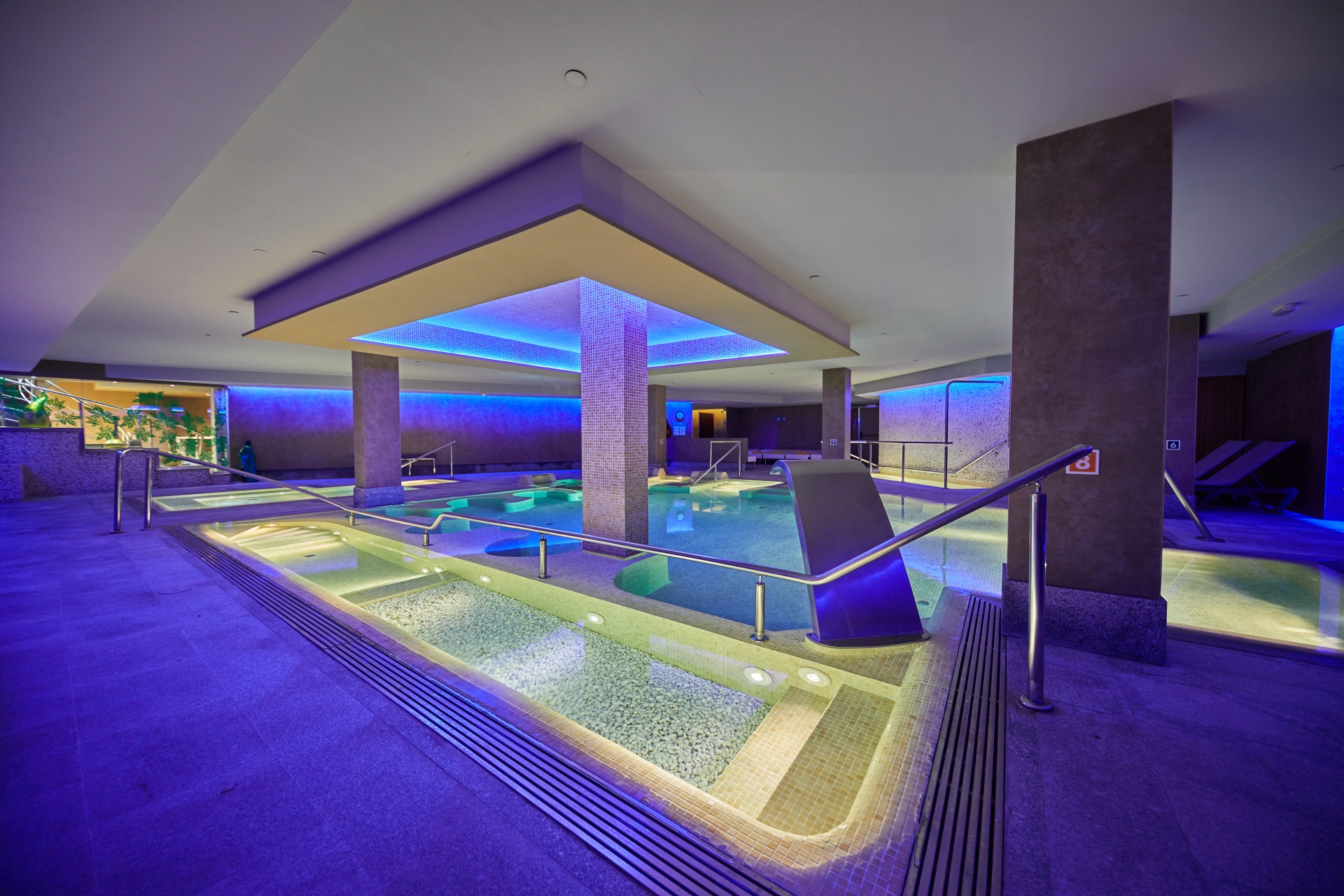 WELLNESS EXPERIENCE