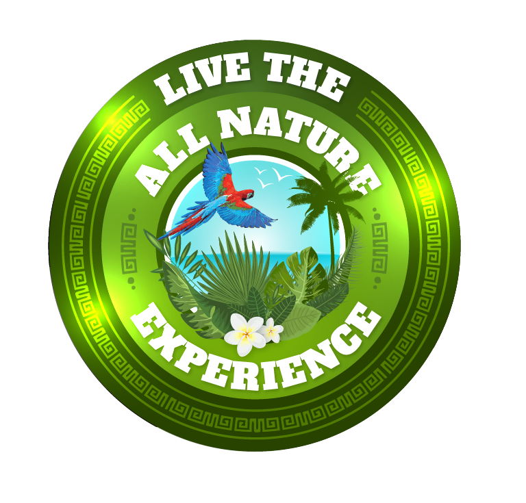 All Nature Experience Logo All Nature Logo