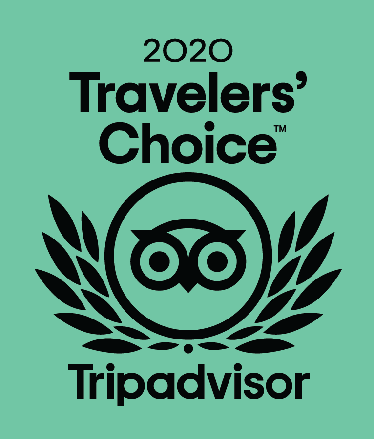 TripAdvisor 2020