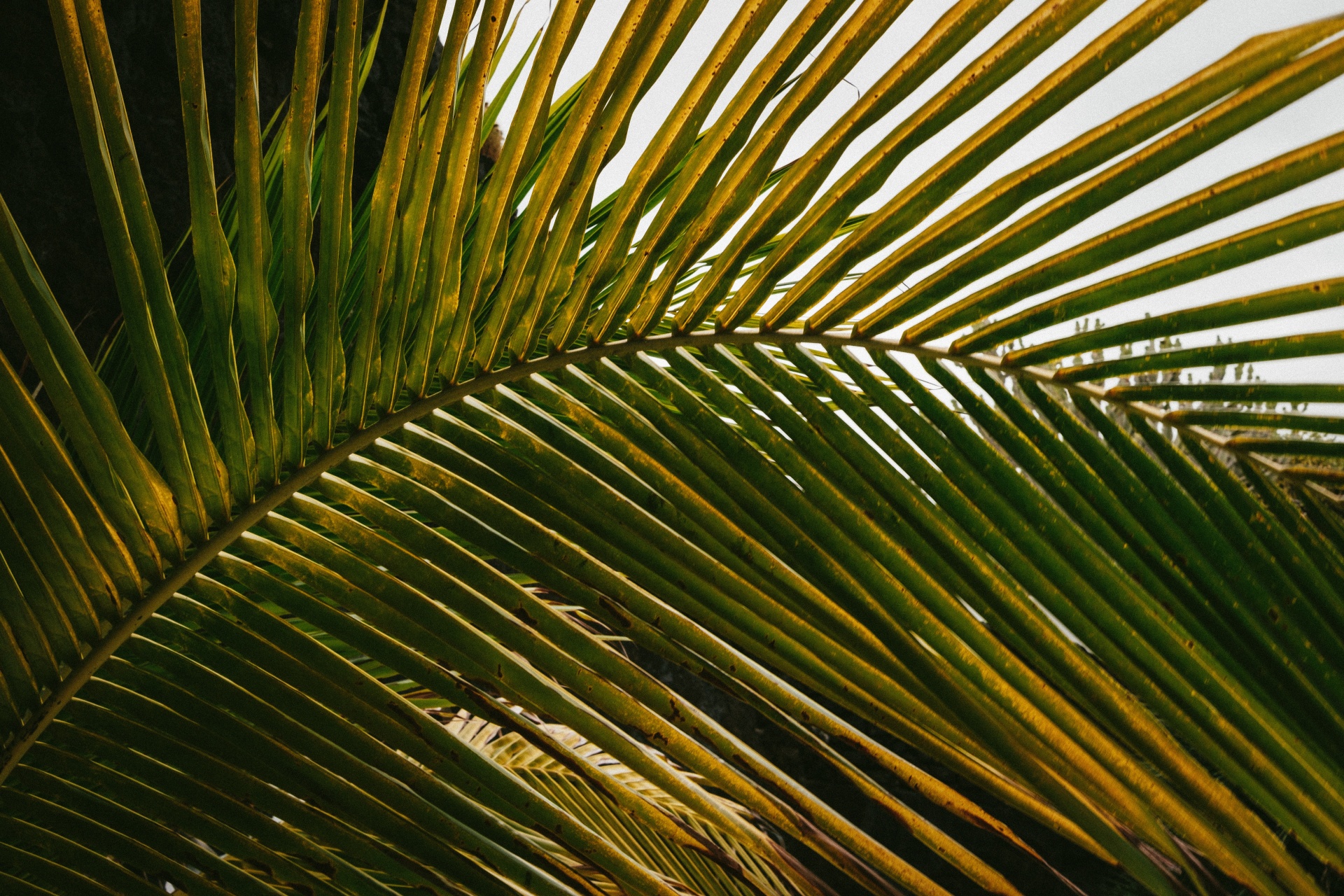 TEST ATLANTIC ESTHER