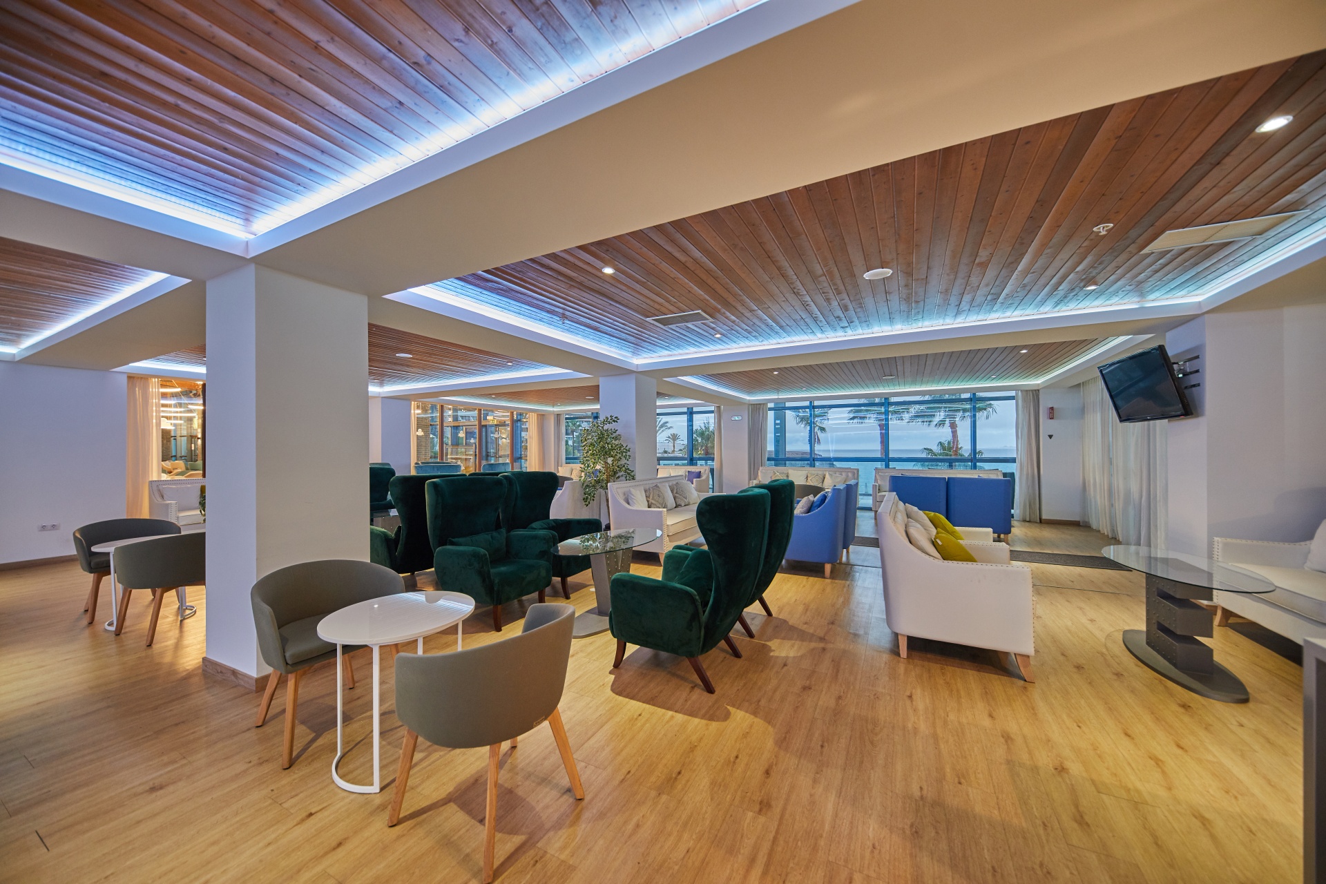 Royal Elite for Adults