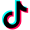 TikTok_30x30