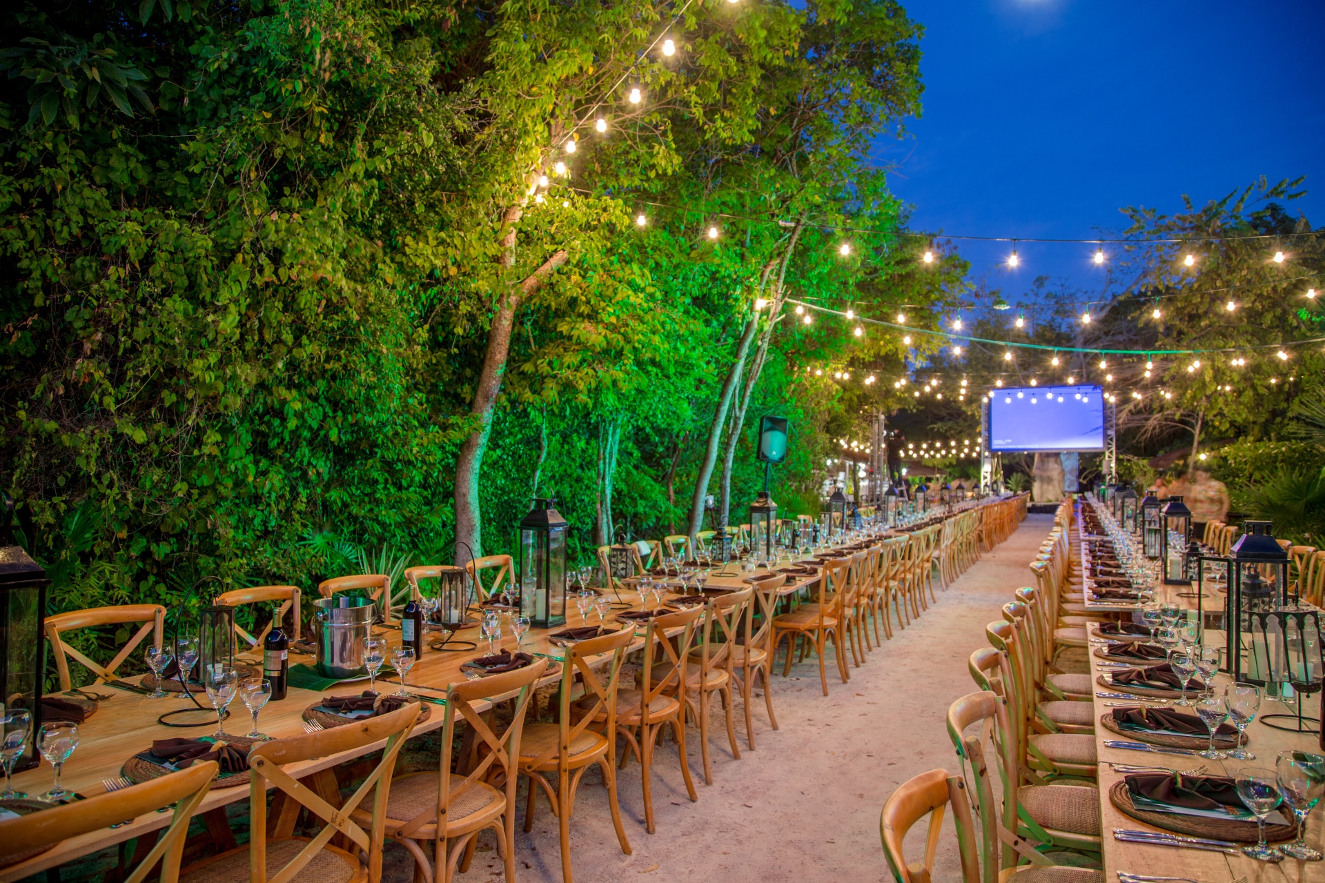 JUNGLE SETTING - SANDOS CARACOL