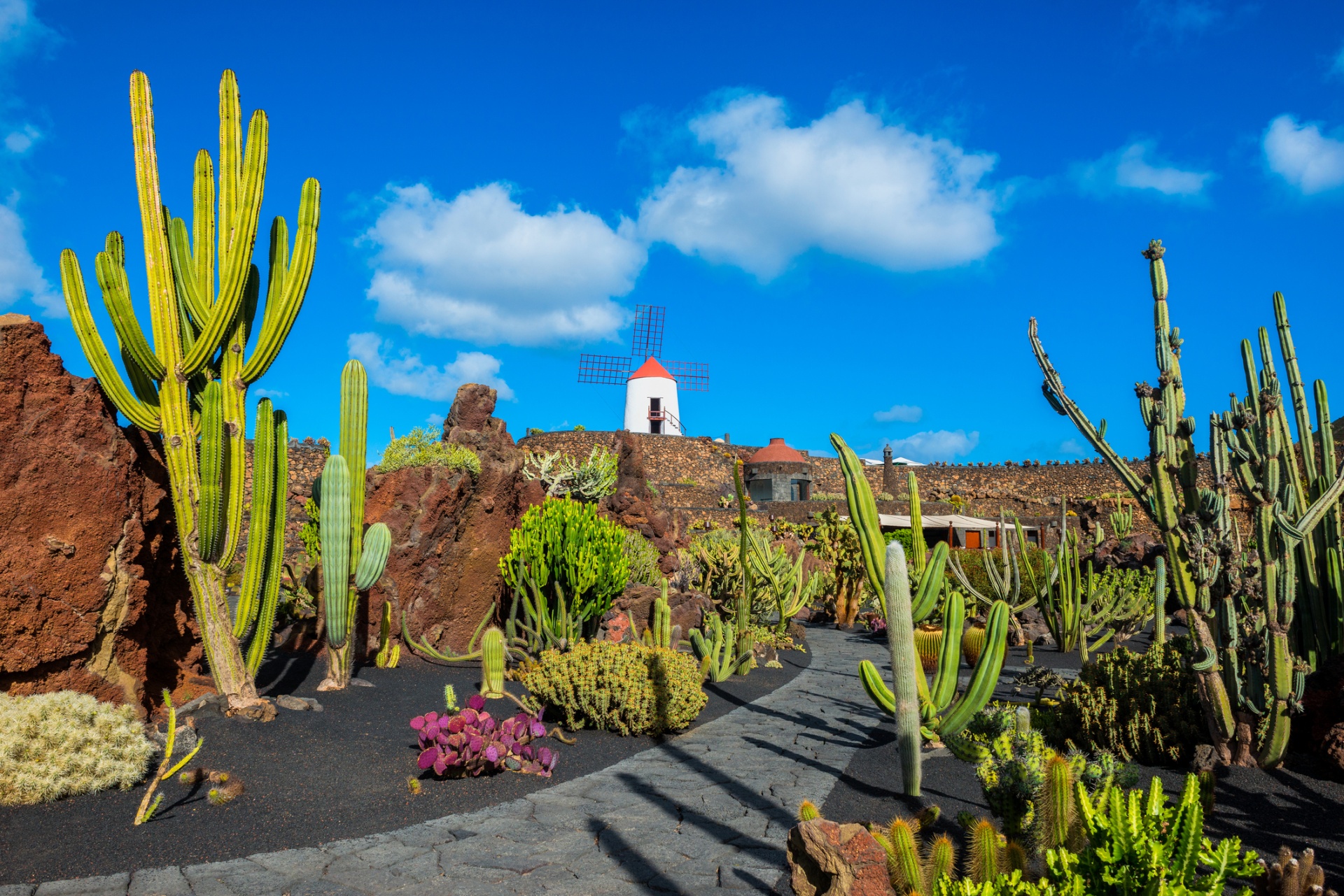JARDÍN DEL CACTUS