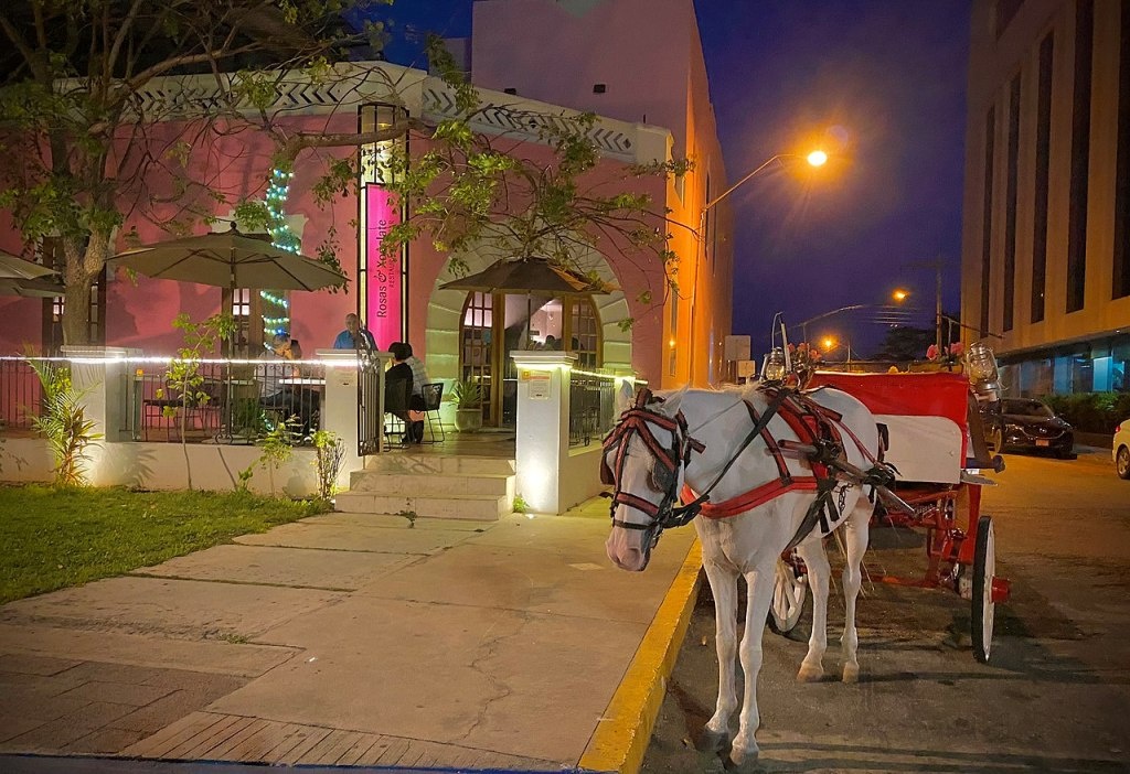 yucatan food guide