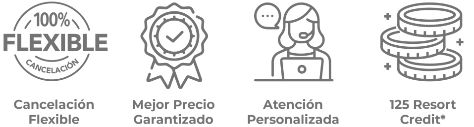iconos_ESP_web 125 usd credit