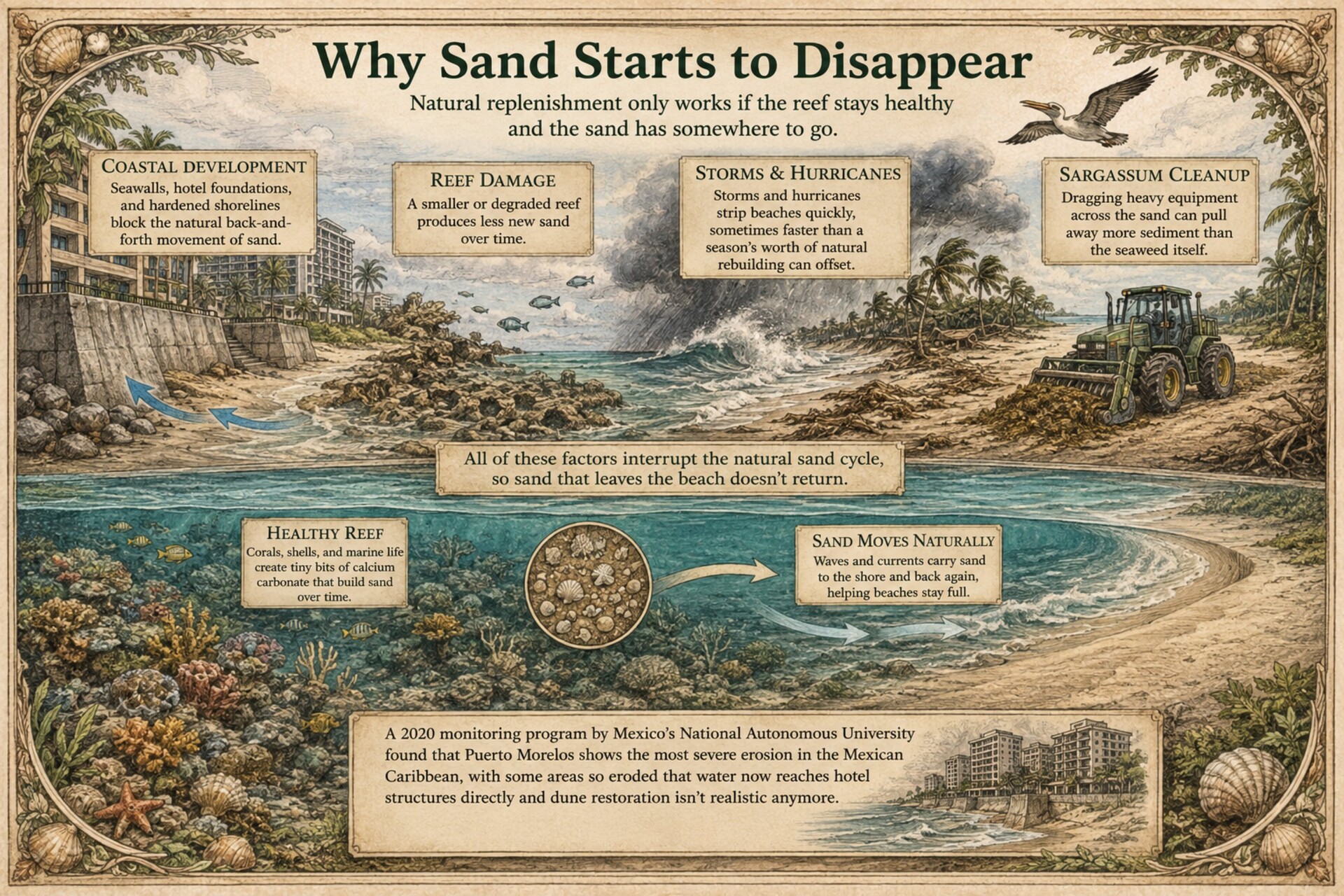 ENGLISH_Why_Sand_Starts_to_Disappear_HD_ING_EDIT.jpg