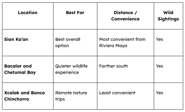 Where-Should-You-Go-to-See-Manate.png